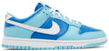 Nike Dunk Low Argon